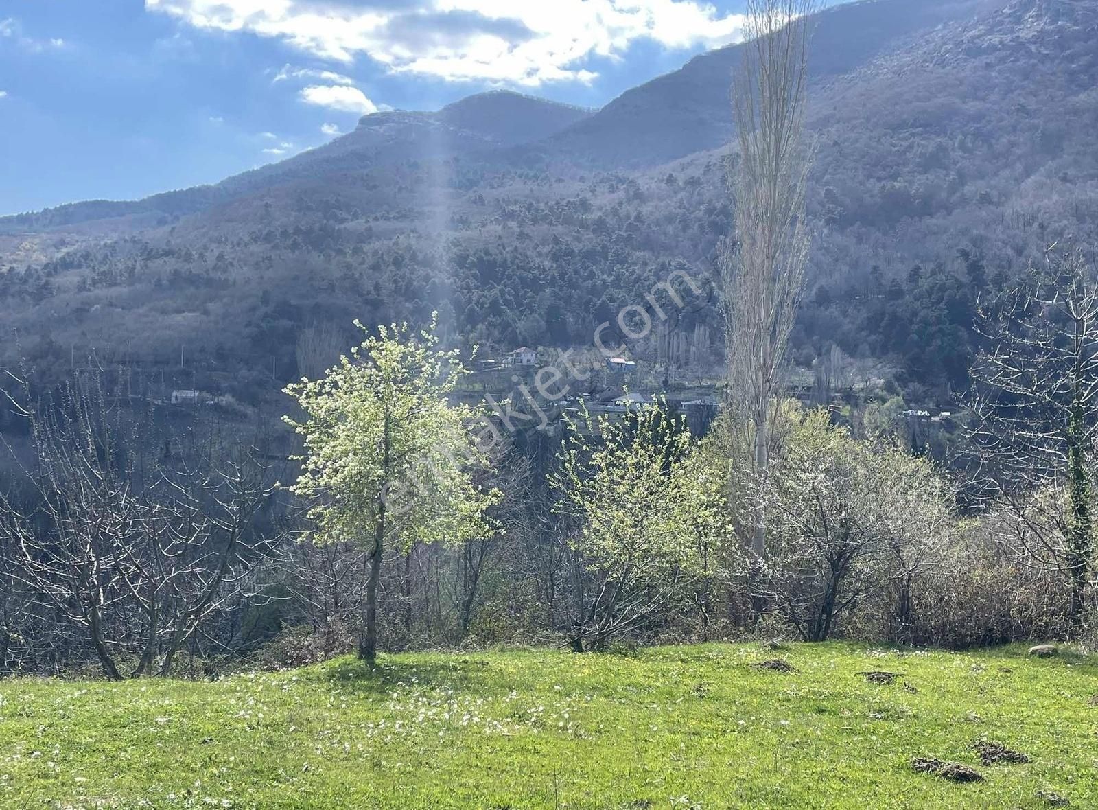 Kemalpaşa Ovacık Köyünde Kiraz Ve Çeşitli Meyve Bahçesi - Görsel 20