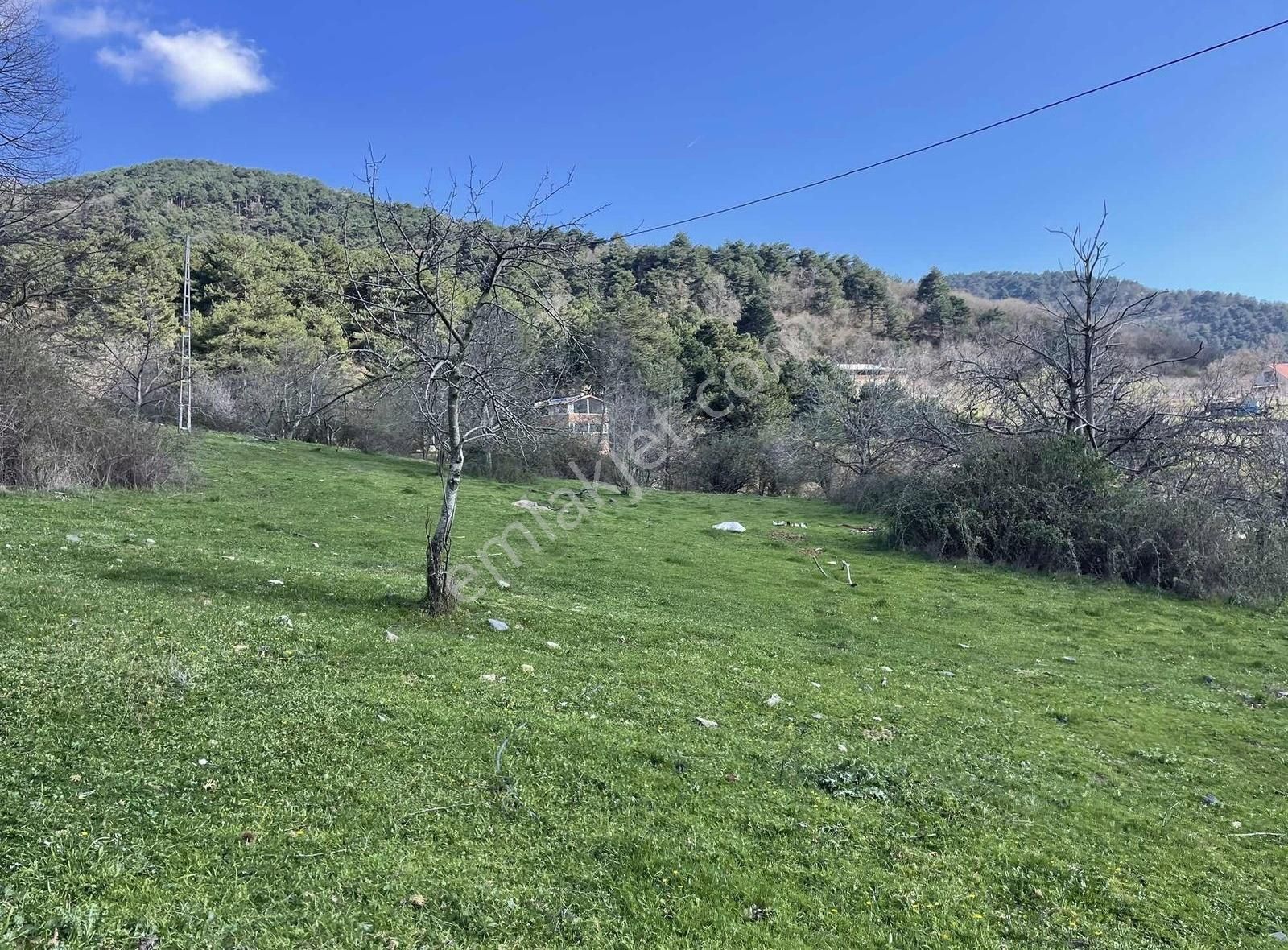 Kemalpaşa Ovacık Köyünde Kiraz Ve Çeşitli Meyve Bahçesi - Görsel 7