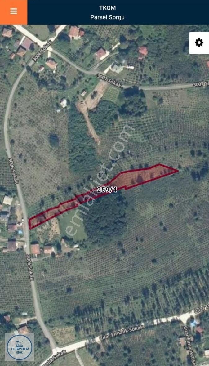 Samsun Terme Akçay' Da Satılık Tarla