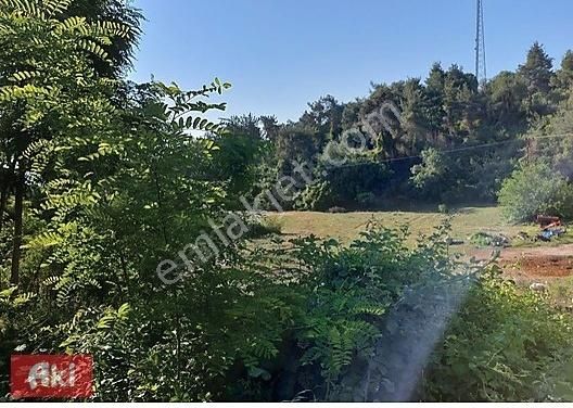 Aki Gayrimenkul Den Tek Tapu - Örcün'de/yol - Su - Elektrik/ Köy İçerisinde - 1395m2
