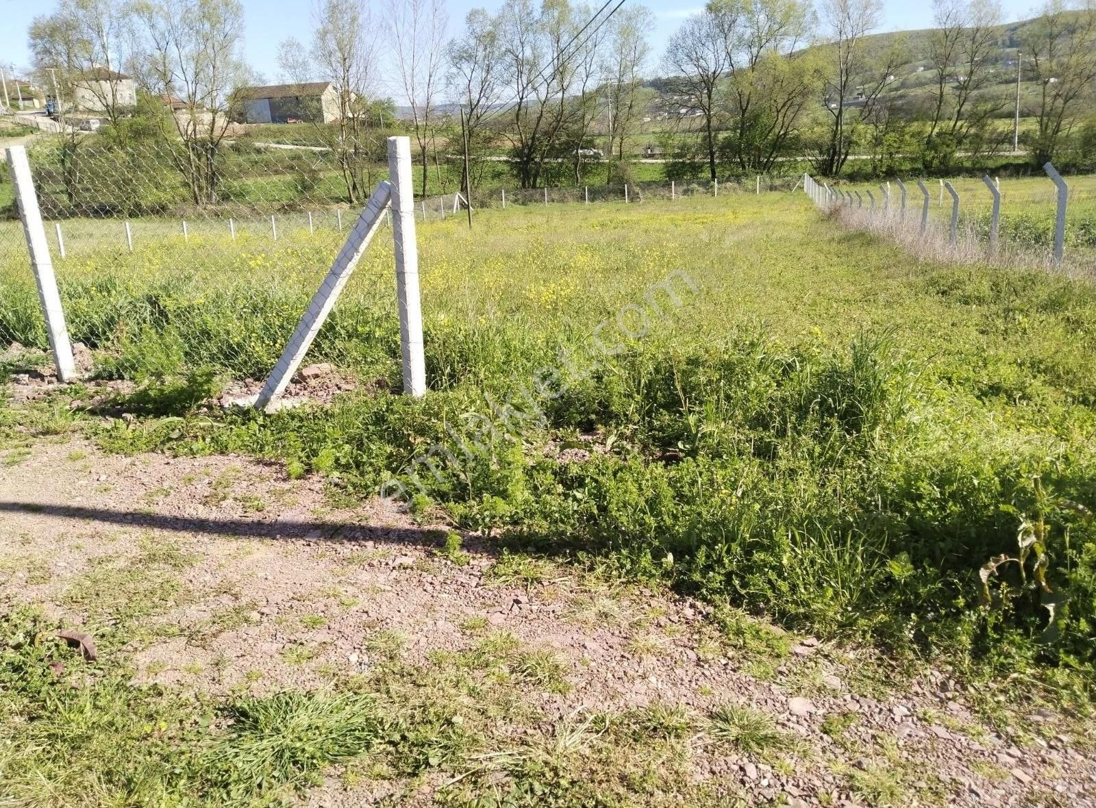 Güzel Konumda Köy Yani