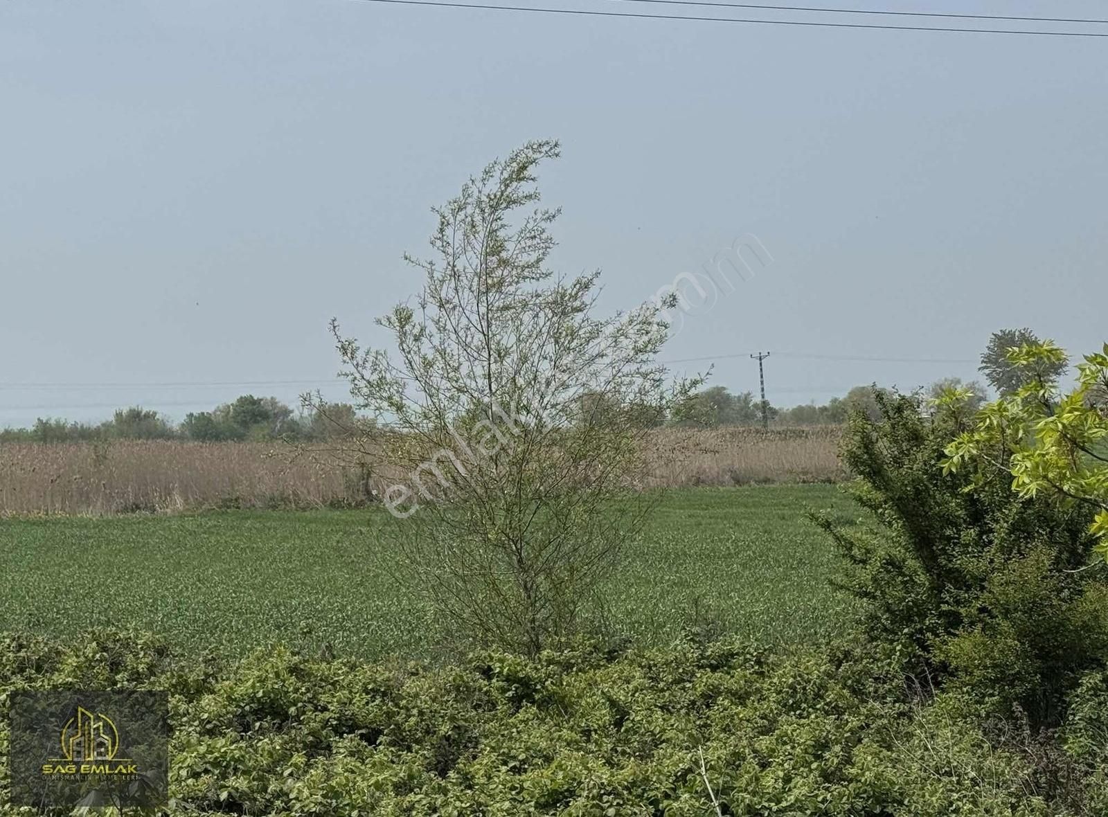 Karakoca'da Satılık Tarla 2200m2 Yola 20m. Uzaklıkda