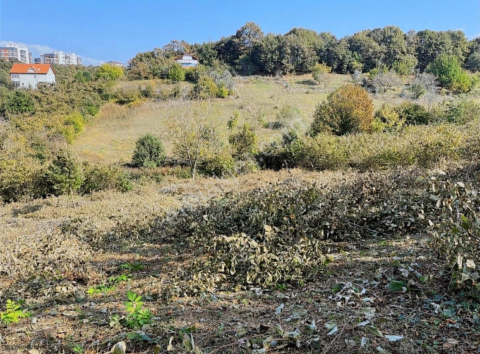 Beytkum Gm Başiskele Fatih Mahallesi Doğa Manzaralı Arazi
