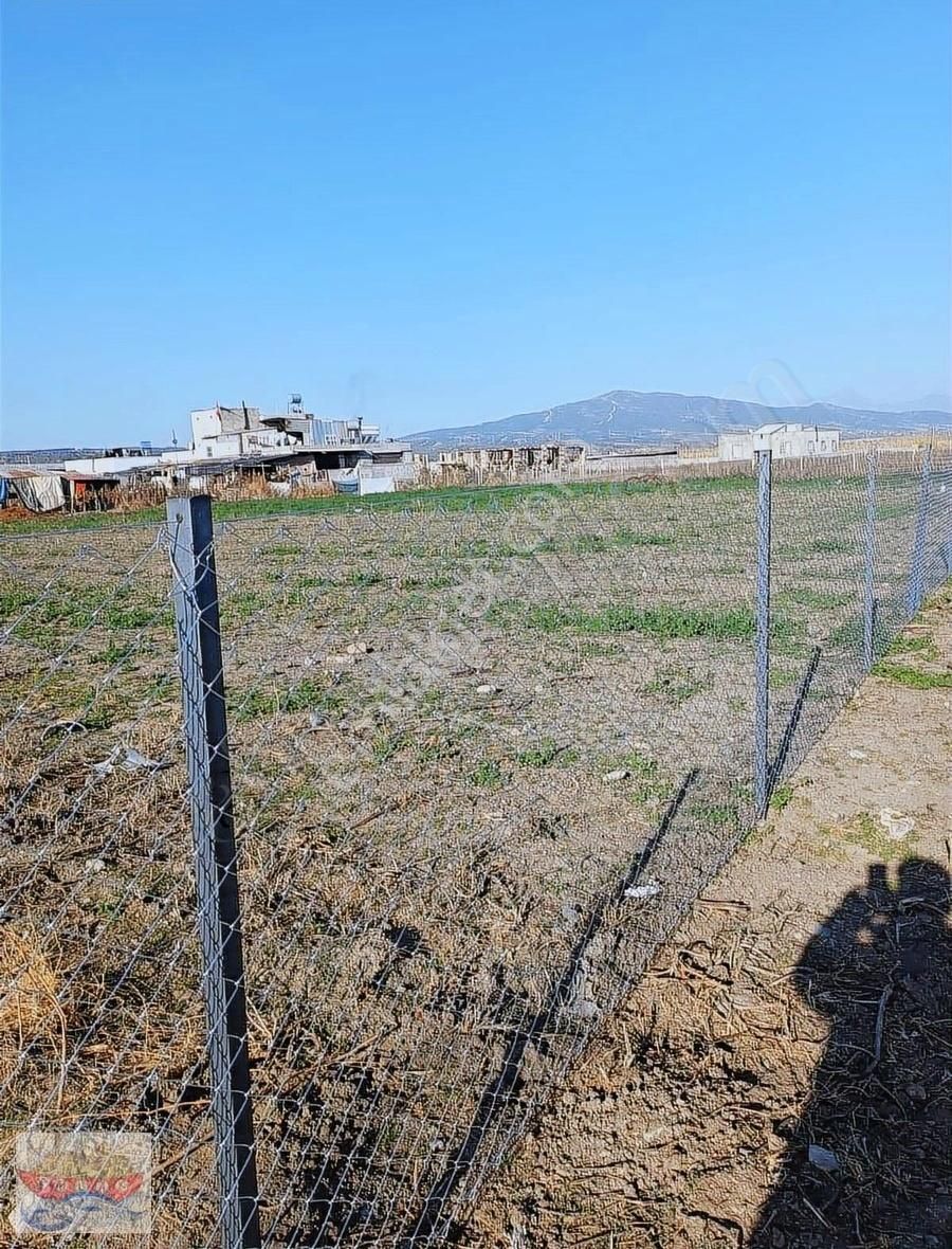Rızaiye Dervişye Yolu Satılık Tarla