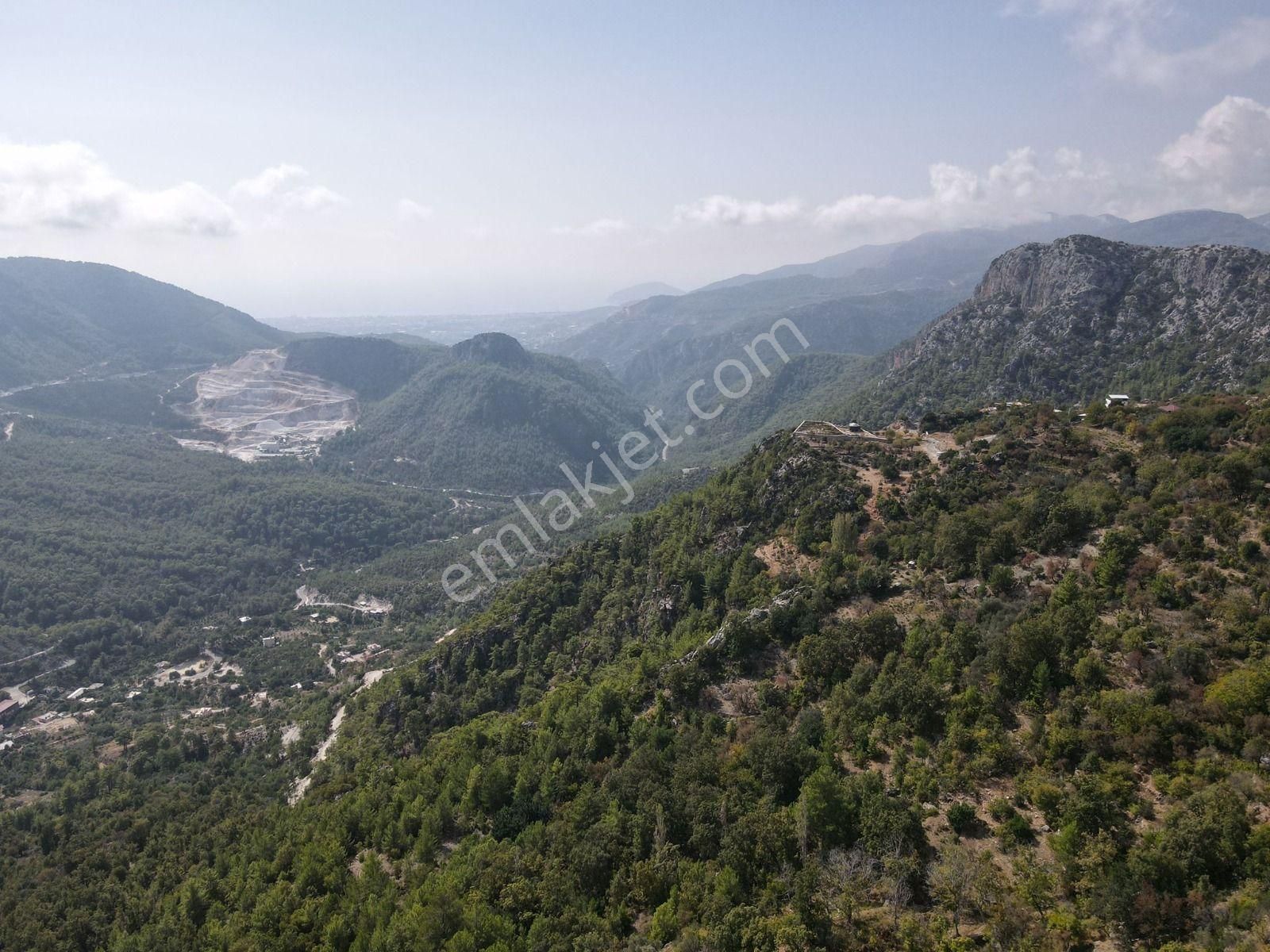 Alanya Bademağacı Yatırımlık 242 M2 Satılık Tarla