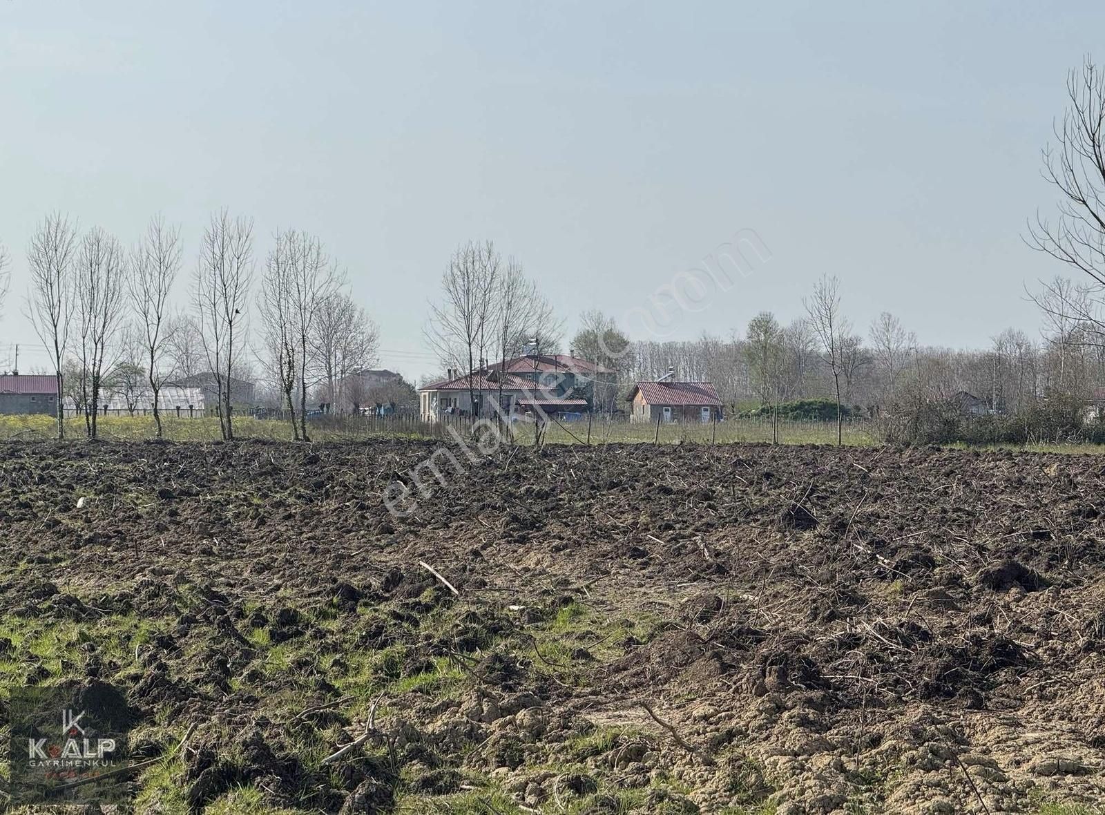 Çarşamba Karabahçede Satılık 19.255 M2 Köyiçi Tarım Arazisi