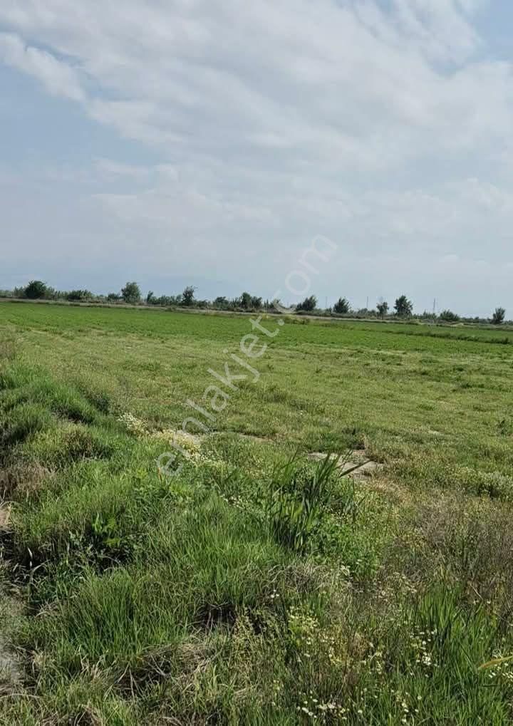 Denizli Sarayköy Sığma Da 5600 M2 Verimli Sulak Arazimiz Satılıktır