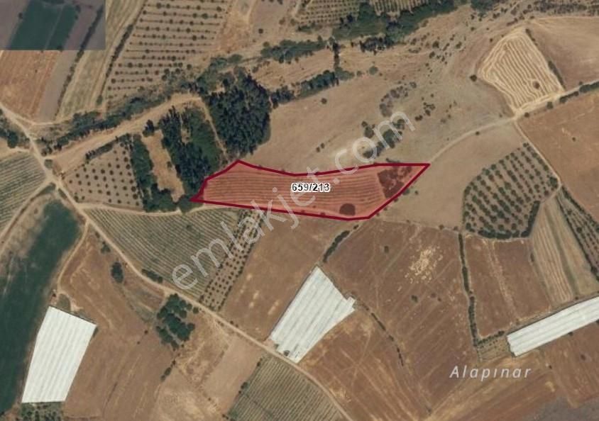 Burdur Çavdır Çınar Mahallesi 9750 M2 Tarla