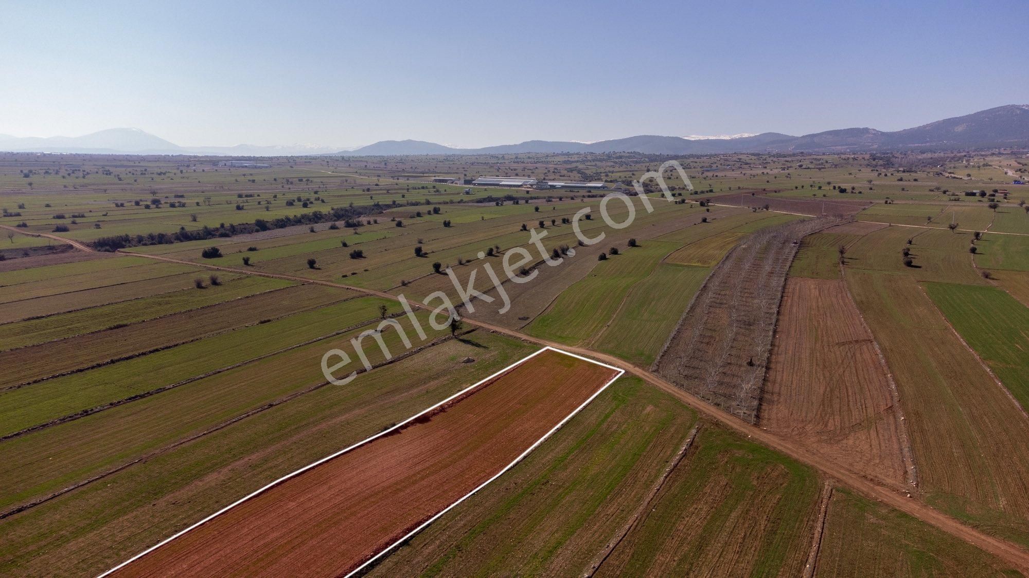 Korkuteli Burdur Bucak Duble Yoluna Cephe Yatırımlık Tarla - Görsel 6
