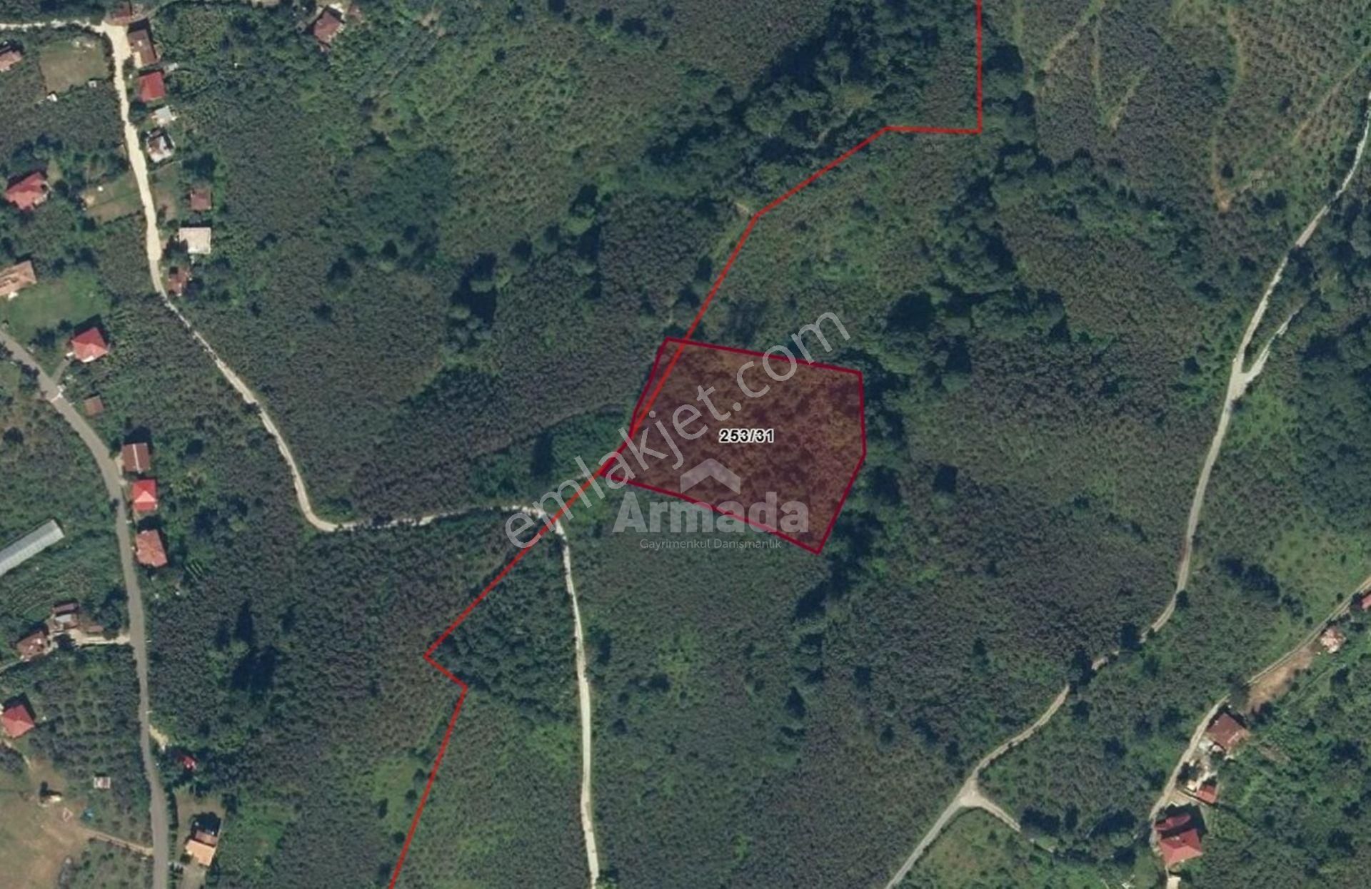 Ordu Hoşköy'de Deniz Ve Havaalanı Manzaralı Fındık Bahçesi