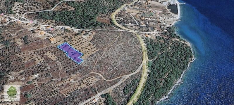 Muğla Menteşe Kıranda 2.746 M² Deniz Manzaralı Satılık Tarla