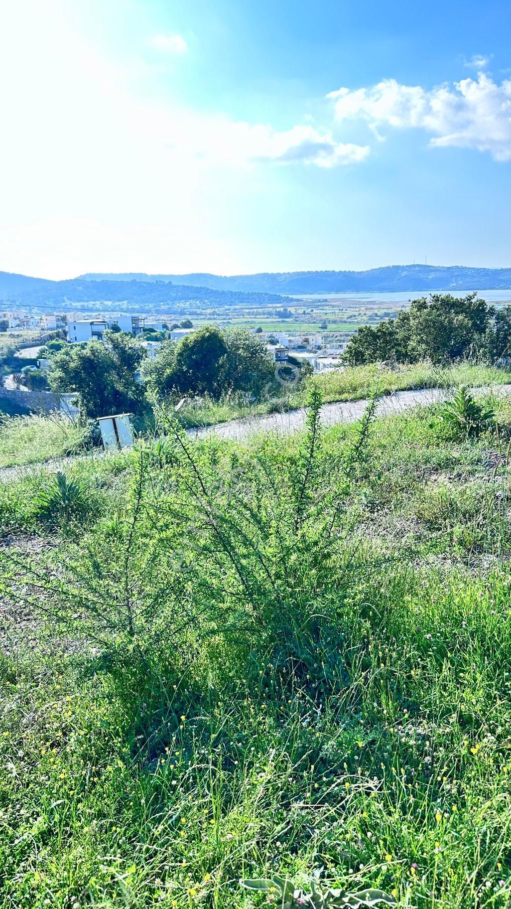 Muğla Milas Meşelikte İmarlı Arsa