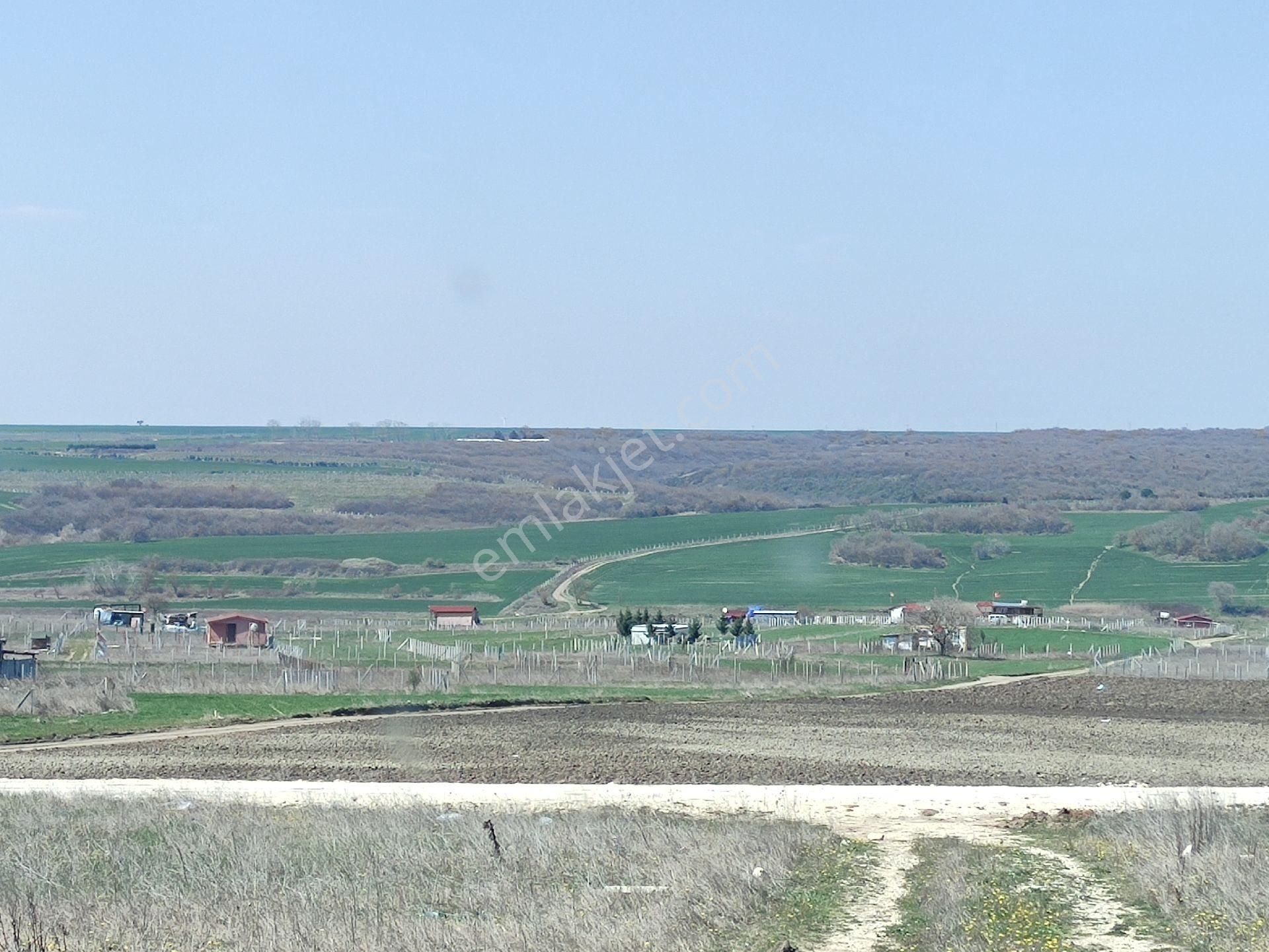 Silivri'de İmarlı İfrazlı Acil Satılık Kelepir 255 Metre Arsa