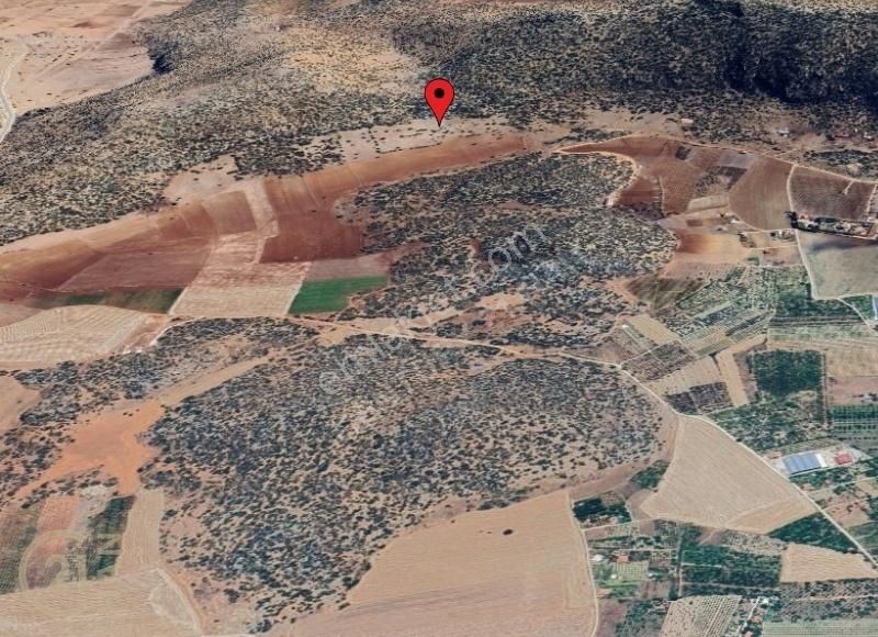 Korkuteli Yatırımlık 1554m2 Arsa