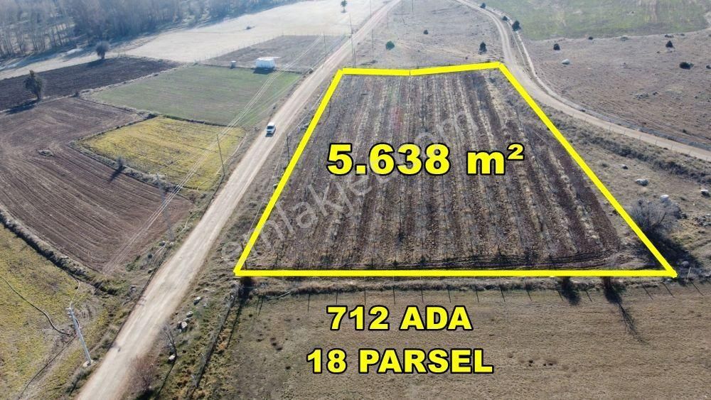 Konya / Akören / Tülce'de 300 Ağaçlık 5.638 M² Tarla Satılık