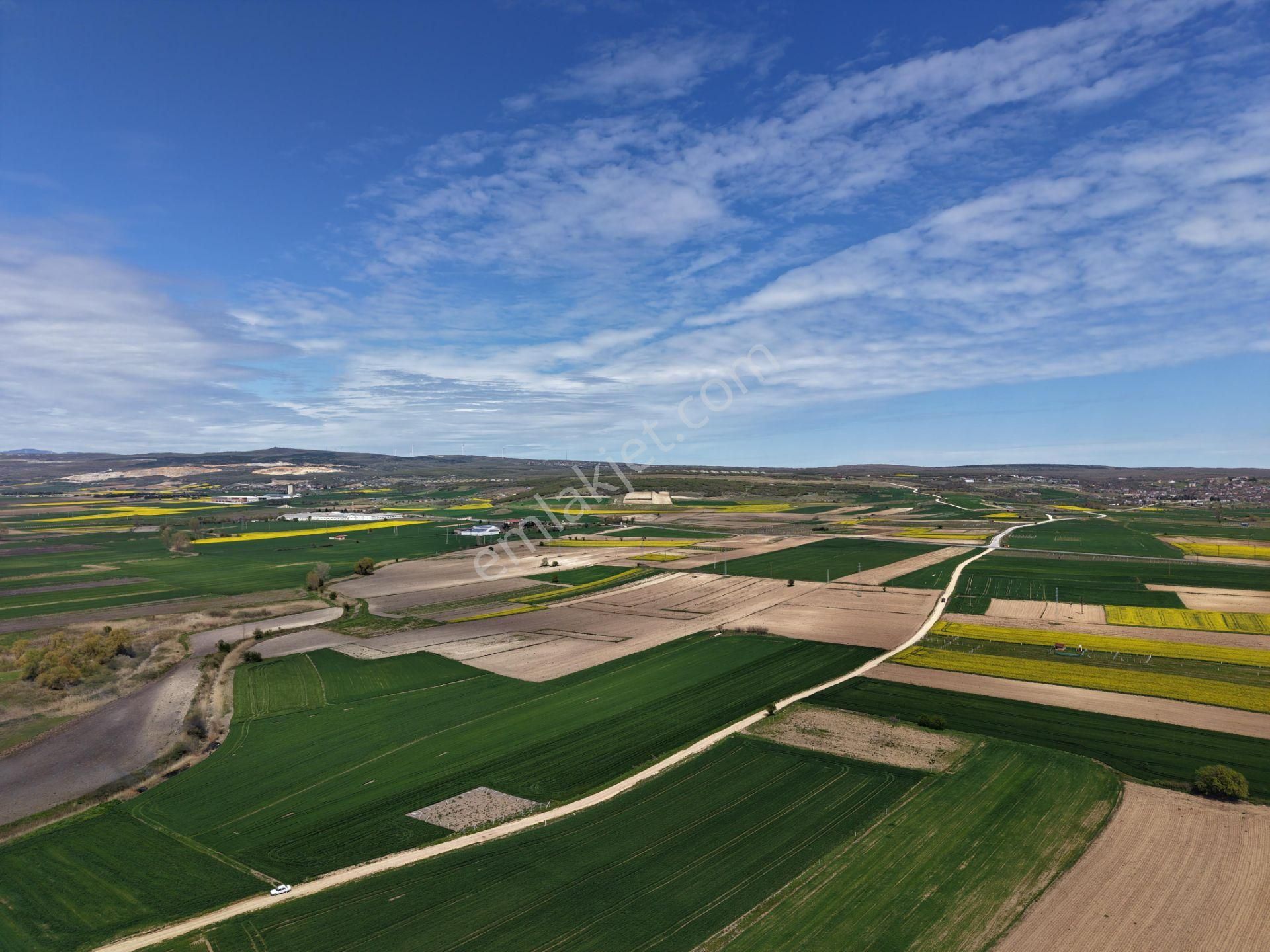 Kırklareli Vize Evrenli Mah. 390 M² Resmi Yola Cephe Tarla