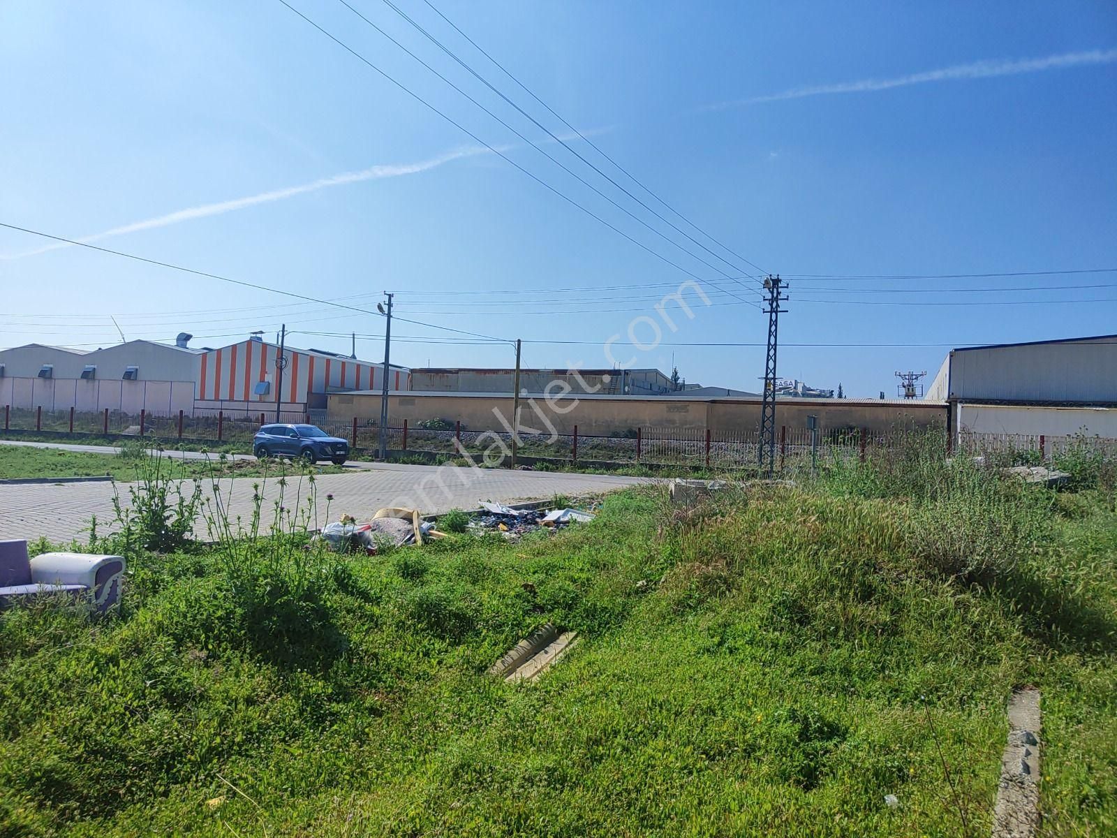 Büyükdikili'de Sasa Karşısı Yoğunluklu 973m2 Arsa!!!
