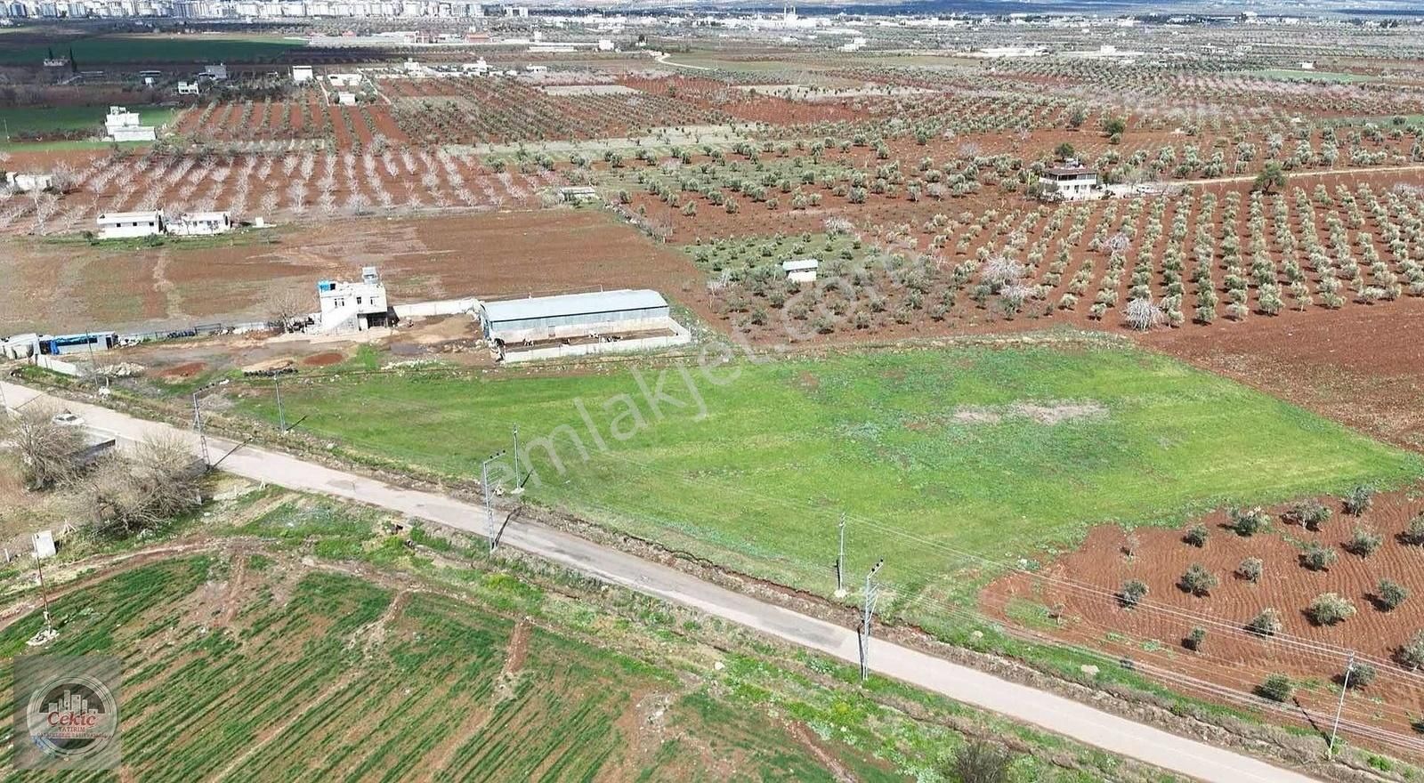 Asvalt Üzeri Küçük Baş Büyük Baş Hayvan Çiftliği Satılık