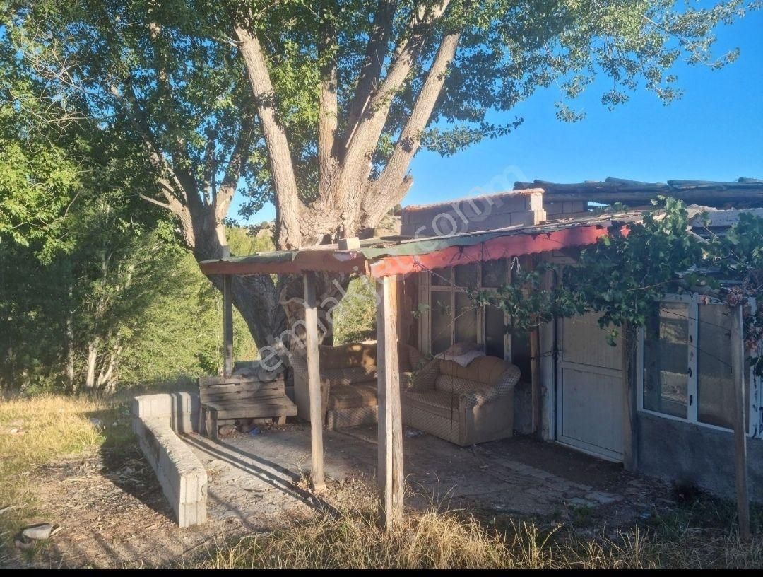 Kestel Yaylasında Çiftlik