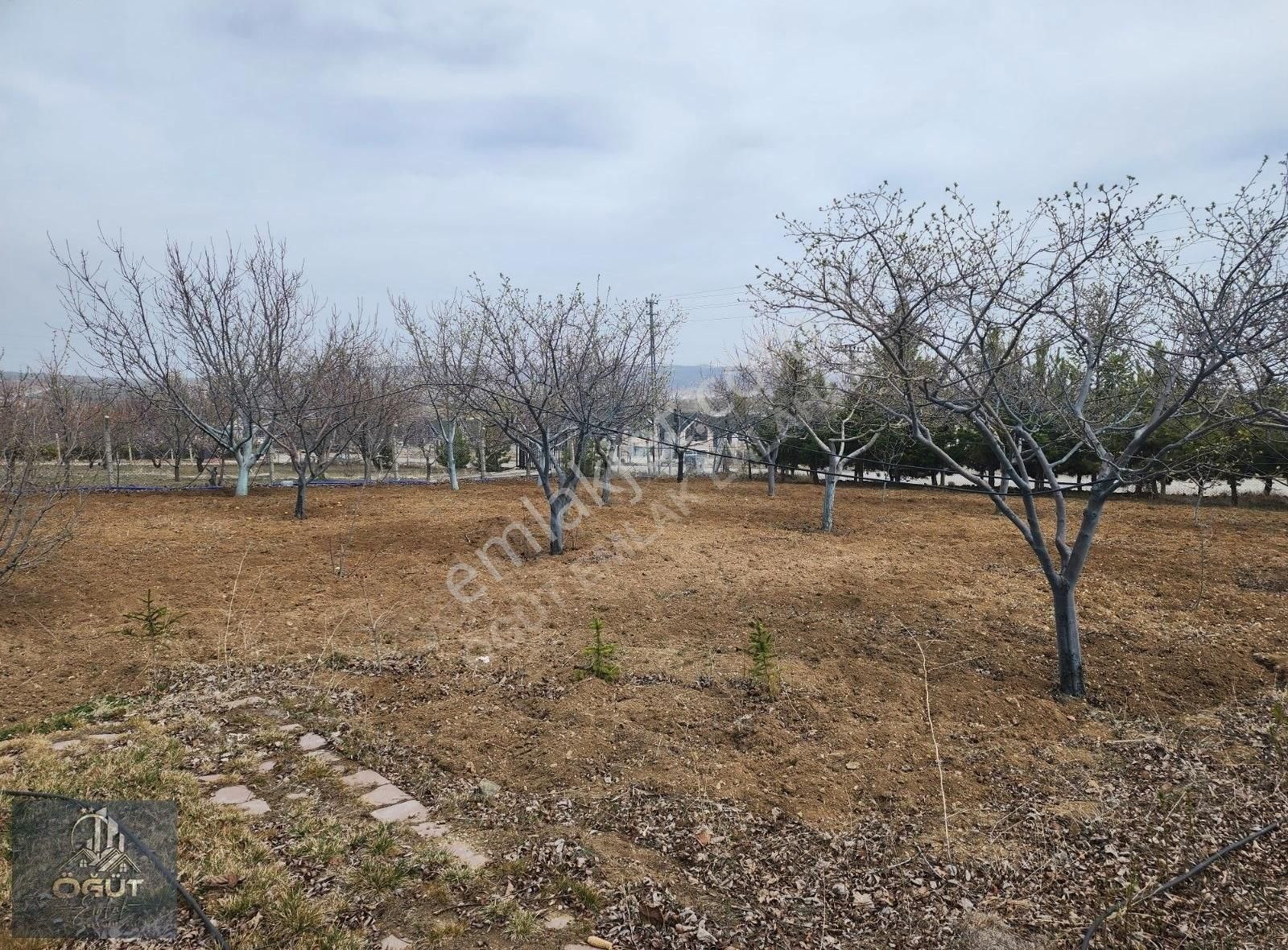 Cadde.de .2 Parsel Yan Yana .3 Adet Ahsap Ev.satılık. - Görsel 26