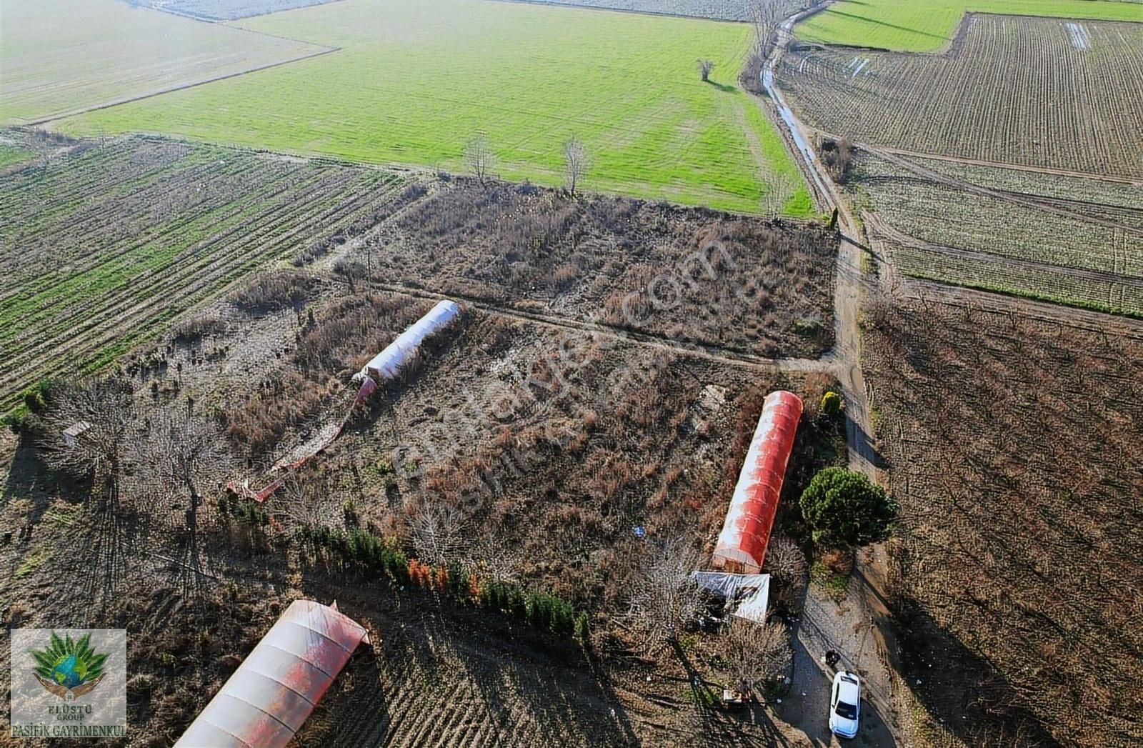 Pasifik'ten Sadıkpaşa' Da 10600 M² Suyu Elektriği Olan Arazi - Görsel 6