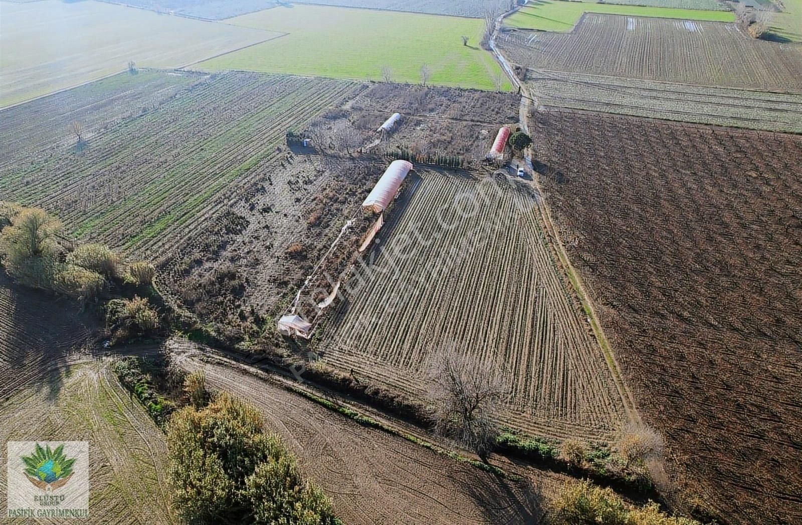 Pasifik'ten Sadıkpaşa' Da 10600 M² Suyu Elektriği Olan Arazi