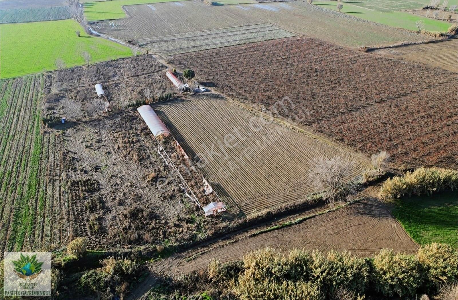 Pasifik'ten Sadıkpaşa' Da 10600 M² Suyu Elektriği Olan Arazi - Görsel 10