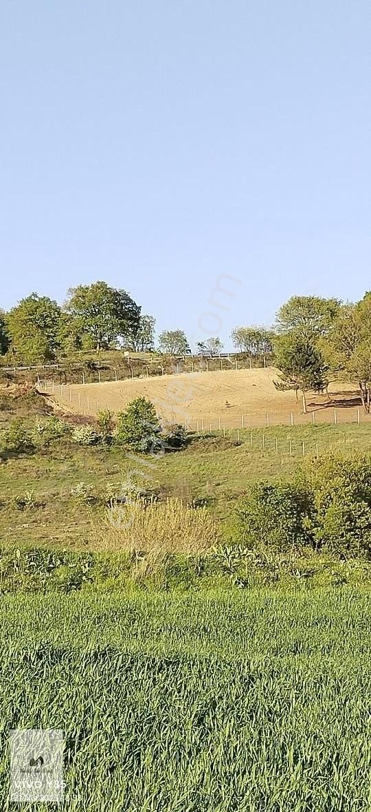 İnegöl'de Asfalta Cephe 3000m² Hazır Hobi Bahçesi