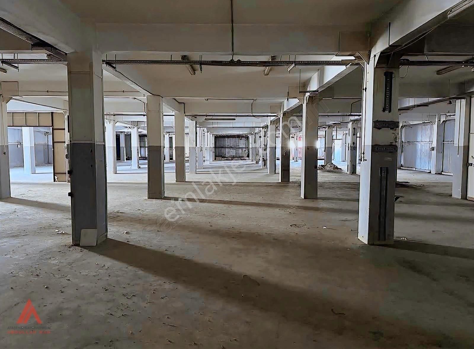 Tuzla Deri Osb Kiralık 1800 M2 Üretim Tesisi - Depo