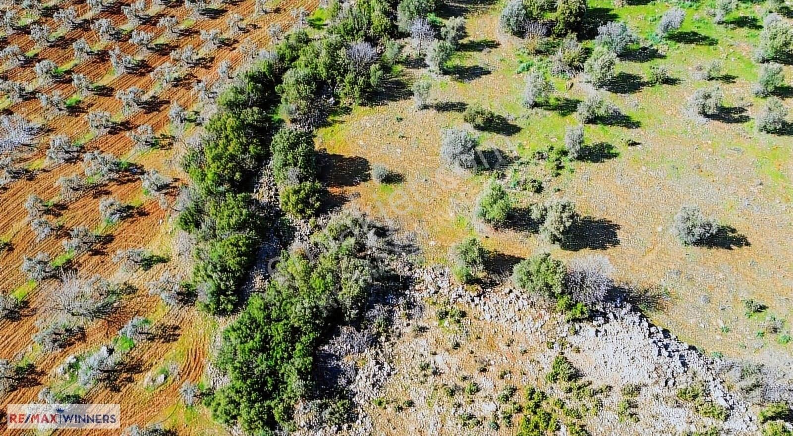 Antalya Döşemealtı'nda Yatırımlık 494 M² Arsa