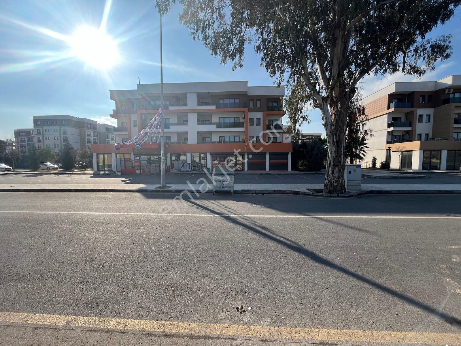 Tapusu Hazır Satılık Daire
