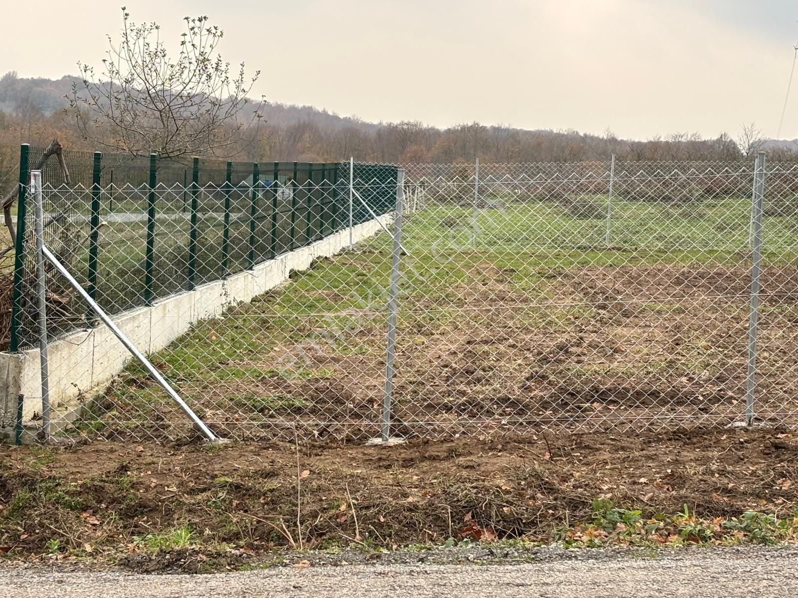 Kandıra Çamkonak Da Cadde Üzerinde Köşe Başı 500m2 Arsa - Görsel 11