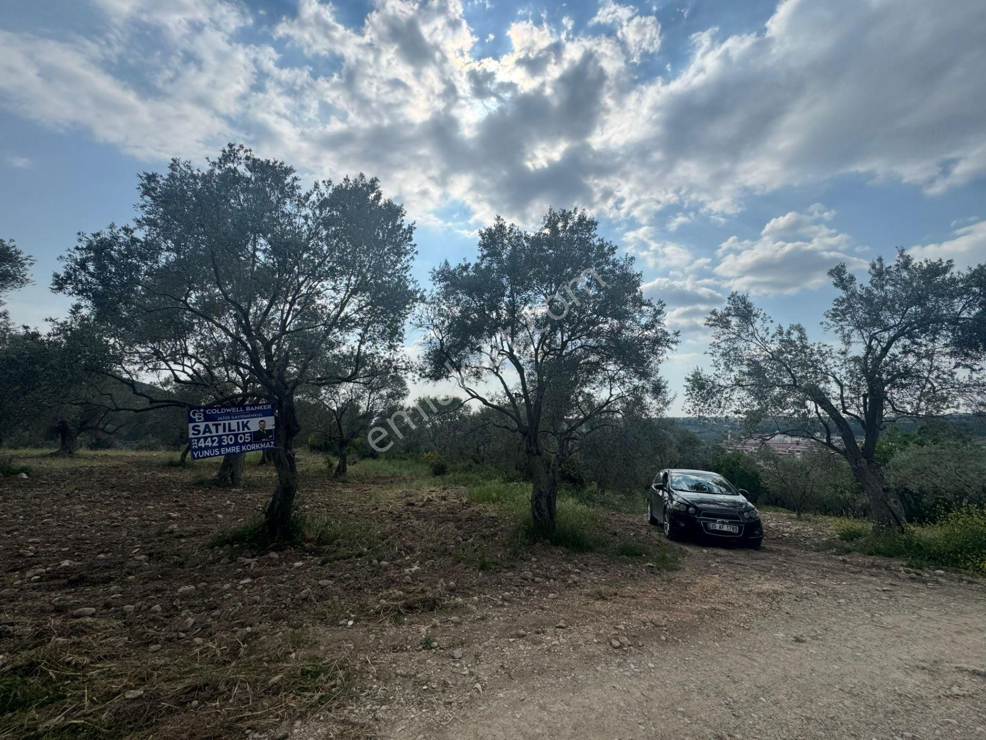 Buca Kırklar Köyünde Tek Tapu 7400 M² Satılık Fırsat Tarla