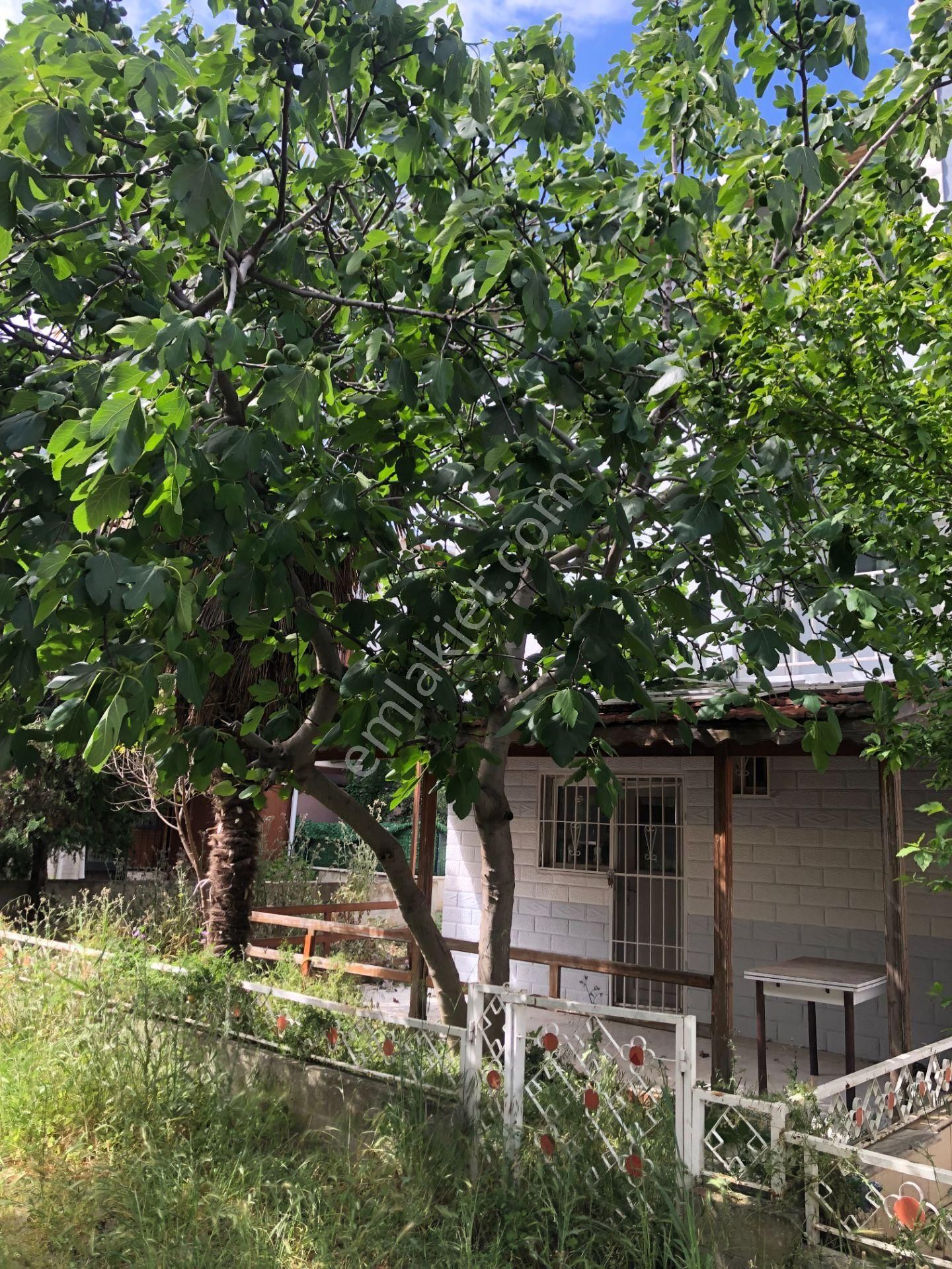 Şarköy De Işık Emlaktan Cumhuriyet Mah De 3+1 130 M2 Tırıpleks - Görsel 27