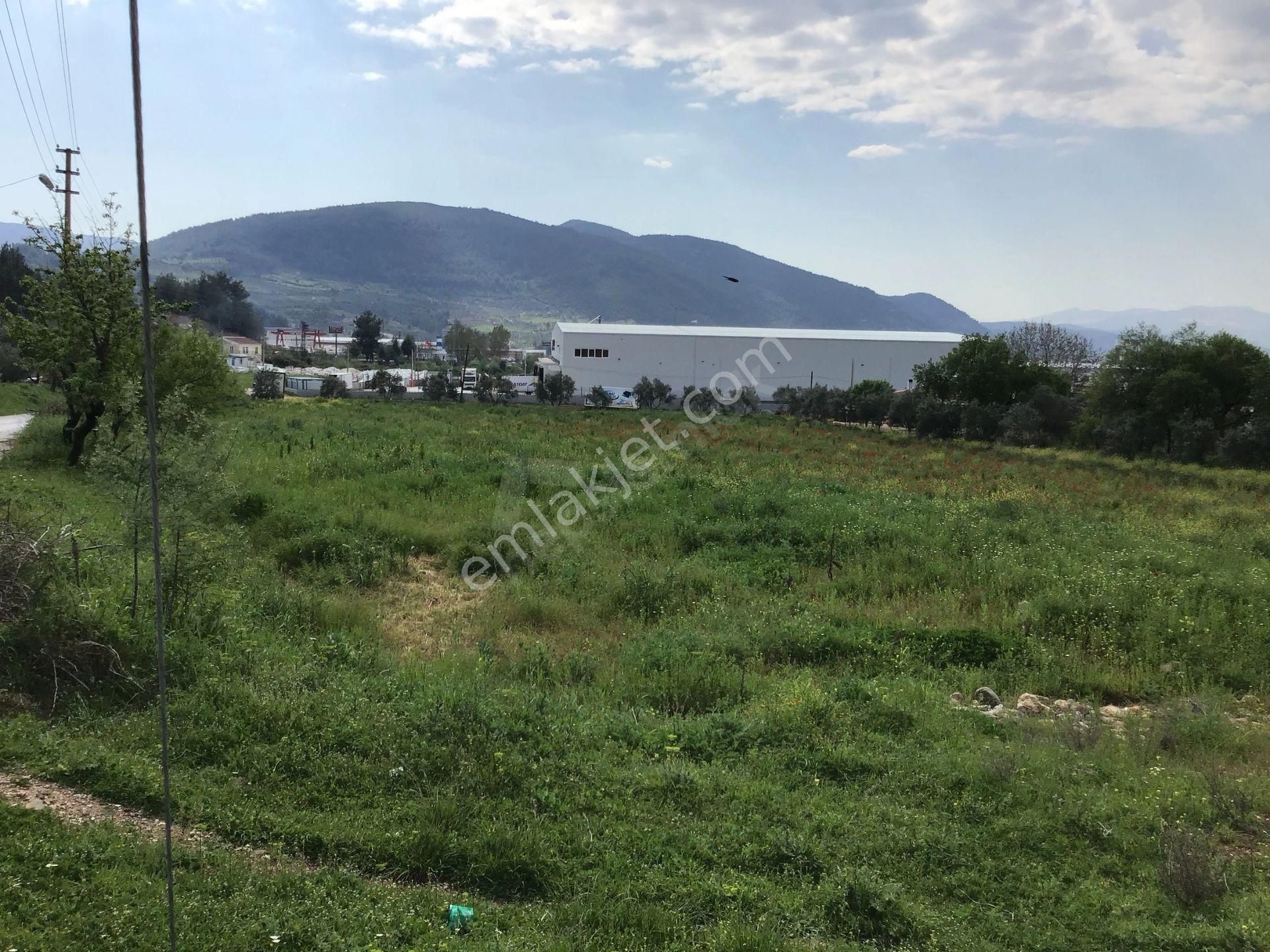 Muğla Menteşe Salıhpasalar Mahallesinde - Görsel 2