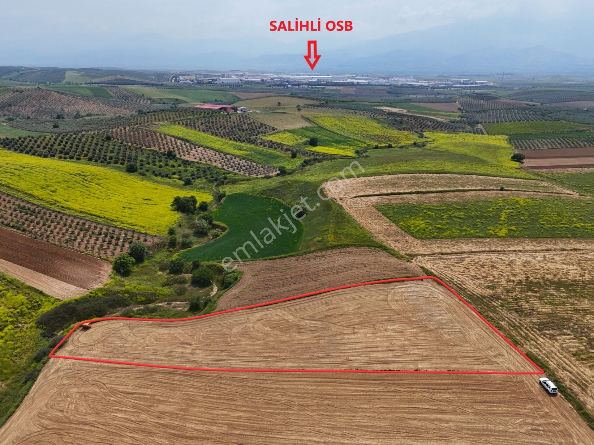 Salihli Akviran'da Satılık 4500 M2 Tarla (video)