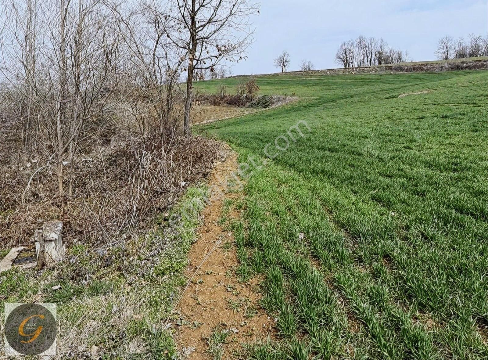 İnegöl Tekke Köyünde 160 Metre Yola Cepheli Satılık Tarla - Görsel 7