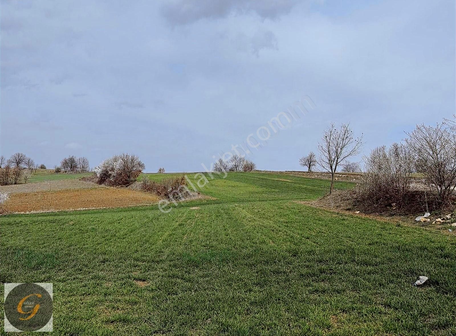 İnegöl Tekke Köyünde 160 Metre Yola Cepheli Satılık Tarla - Görsel 4