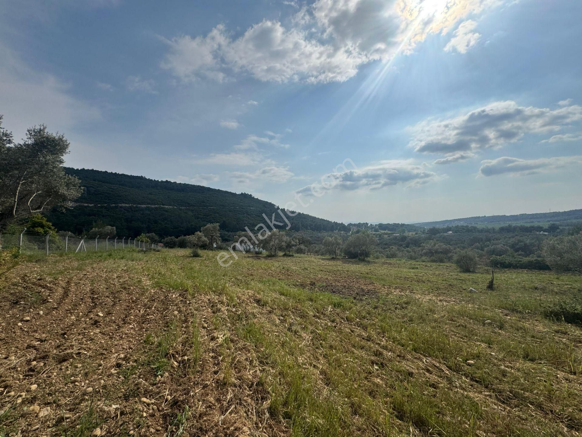 Buca Kırklar Köyünde Merkeze Yakın Tek Tapu 5840m² Satılık Tarla