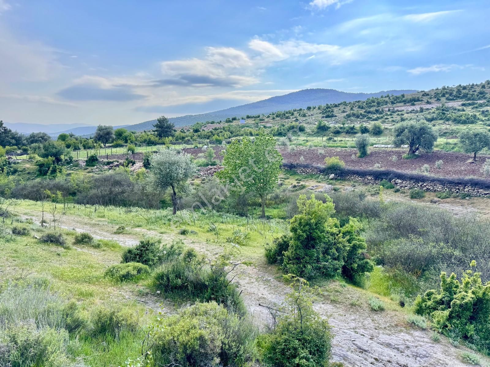 Manisa Kağan Da 692 M2 Kesik , Civarda Yerleşim Var - Görsel 11