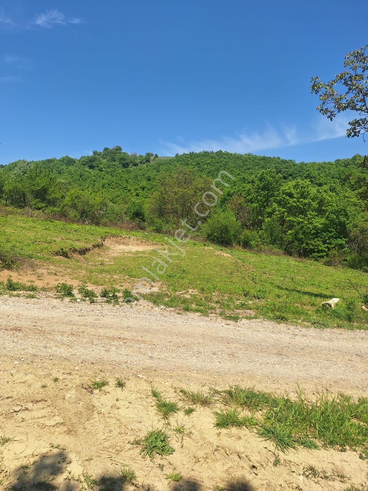 Tek İşim Gayrimenkul'den Bursa İnegöl Eskiköyde 1.487 M² - Görsel 4