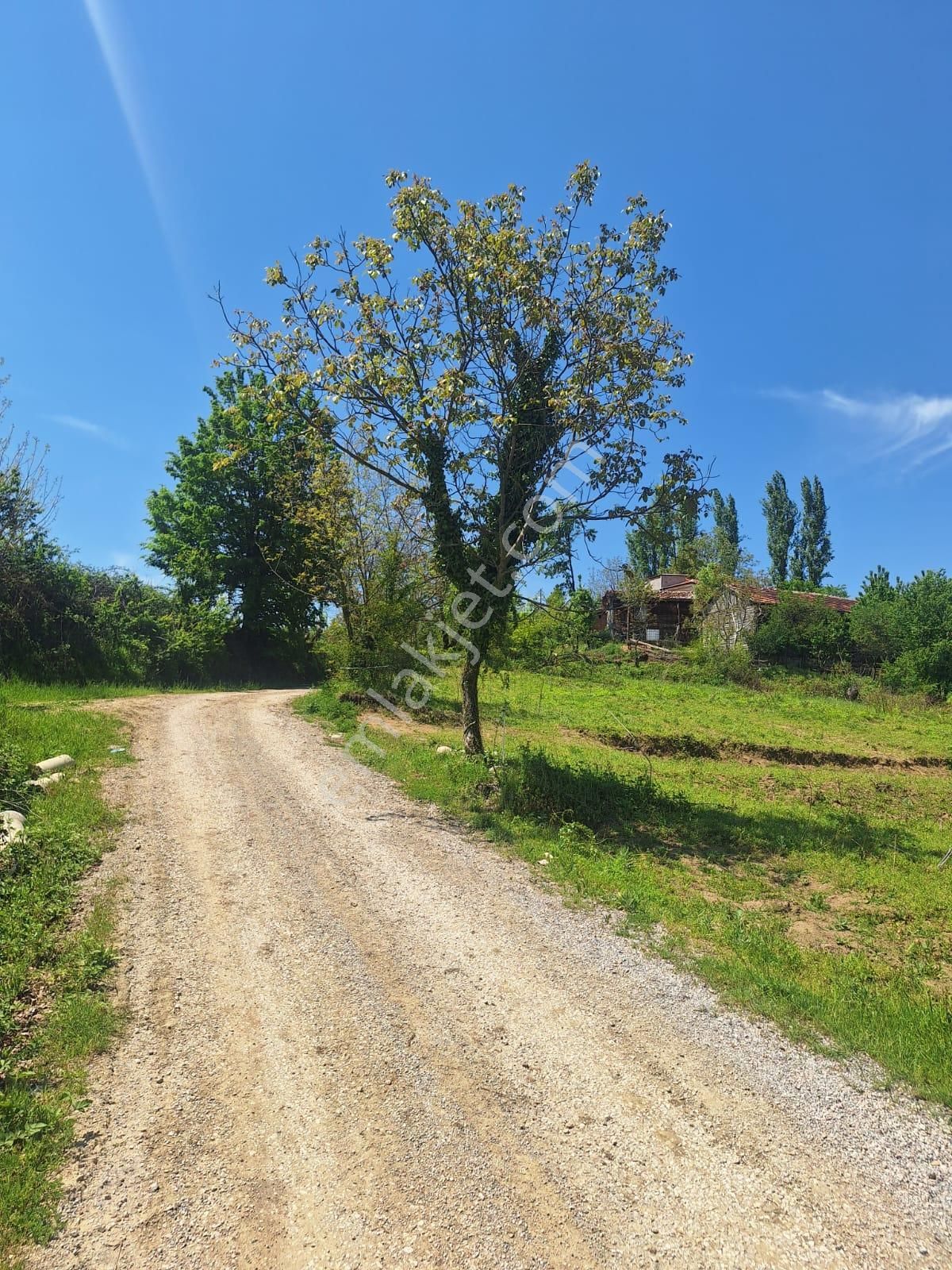 Tek İşim Gayrimenkul'den Bursa İnegöl Eskiköyde 1.487 M² - Görsel 2
