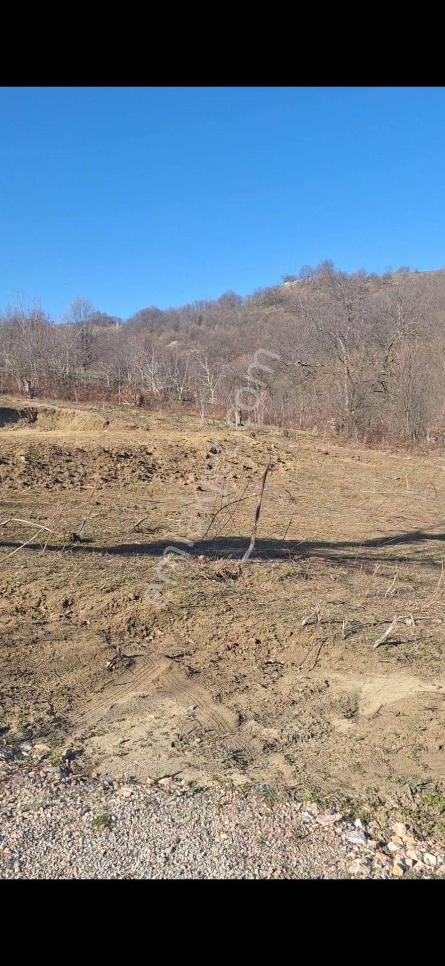 Tek İşim Gayrimenkul'den Bursa İnegöl Eskiköyde 1.487 M²