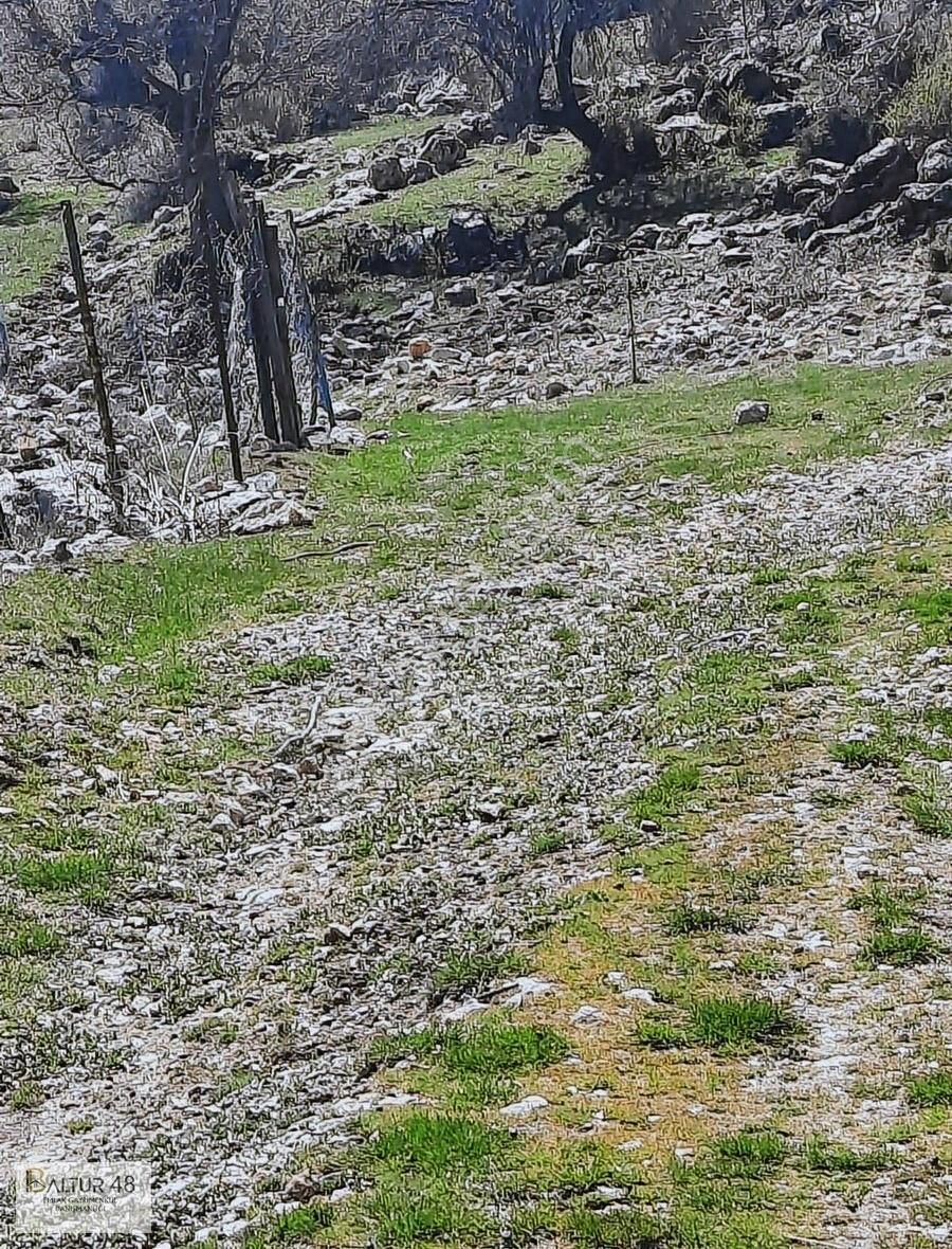 Seydikemer Yaylaeldirek 2 Mustakil Tapu Tek Fiyat 1361 M2 Toplam