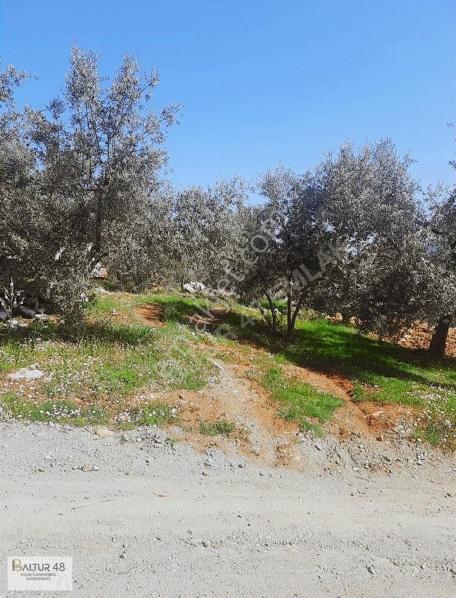 Fethiye Bozyer Mh 1338 M2 Tek Tapu Mustakil Arazi