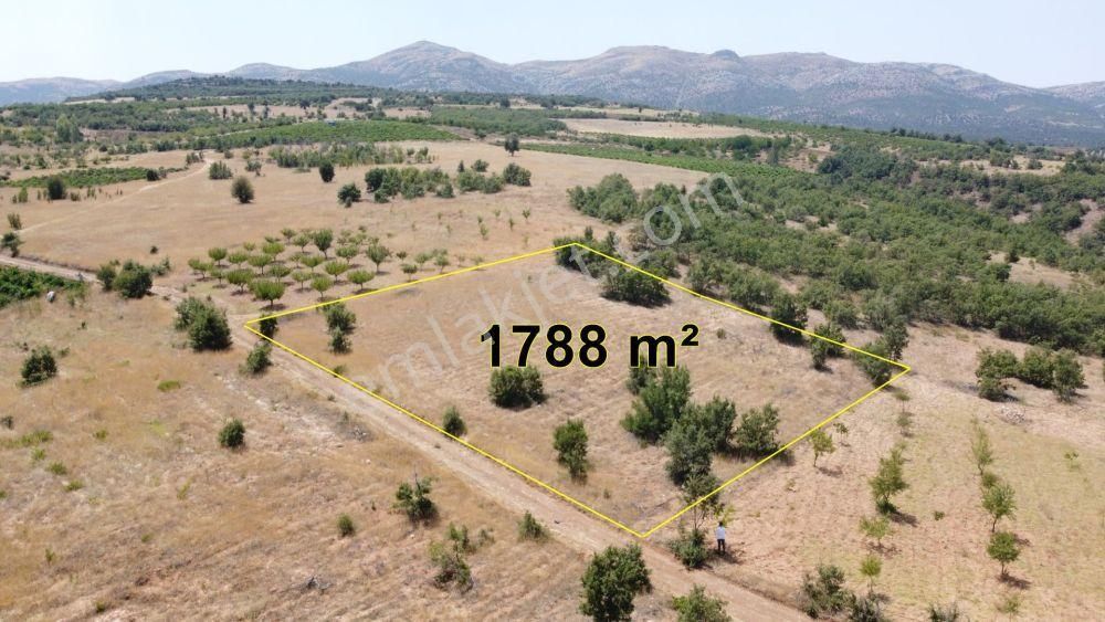 Güneysınır Ömeroğlunda 1.788 M2 Müstakil Tapulu Arazi