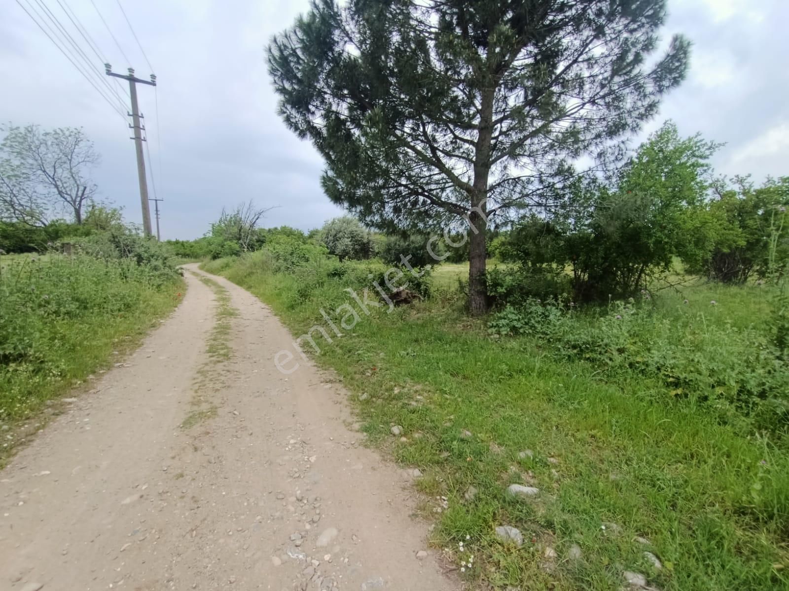 Satılık Arsa