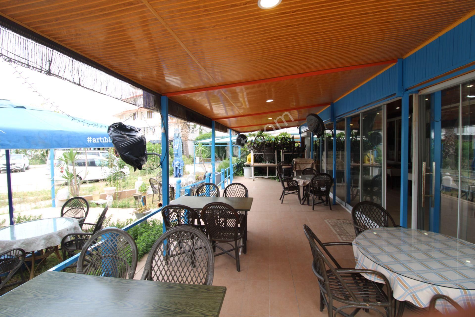 Aydın Didim Altınkum Mahallesi 64 Sokak 250 M2 Restoran Ve Bar Devren Satılık - Görsel 9