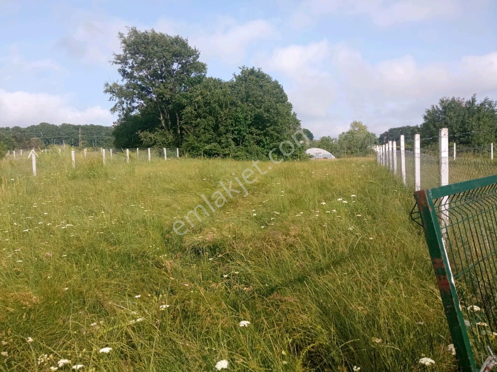 Çatalca Belgrad Mahallesinde 537m Satılık Arsa