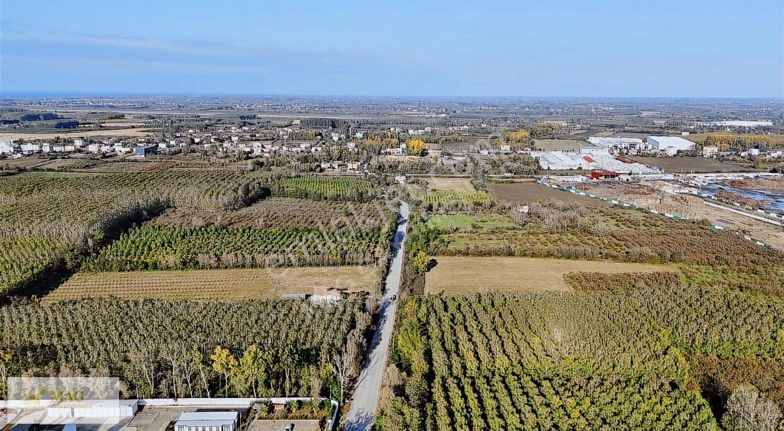 Samsun Çarşamba Eğercili De Satılık Ticari İmarlı 61 Dönüm Tarla - Görsel 7